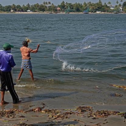 Inde - D'îles en presqu'îles à Cochin, la Venise de l'Inde