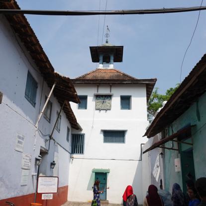Inde - D'îles en presqu'îles à Cochin, la Venise de l'Inde