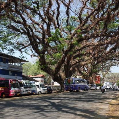 Inde - D'îles en presqu'îles à Cochin, la Venise de l'Inde