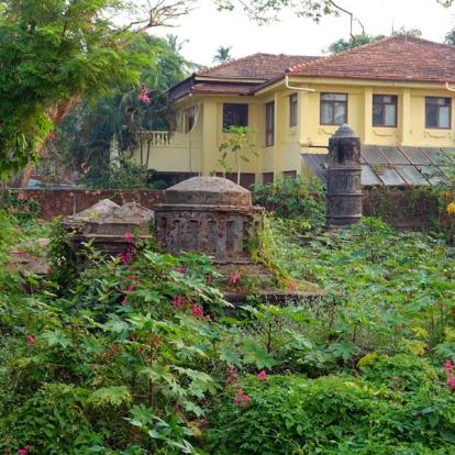 Inde - D'îles en presqu'îles à Cochin, la Venise de l'Inde