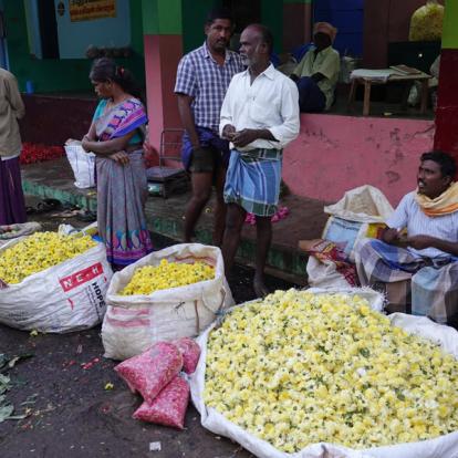Inde - Madurai, chef-d'œuvre de l'Art Dravidien