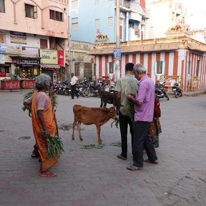 Inde - Madurai, chef-d'œuvre de l'Art Dravidien