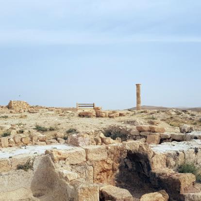 Jordanie - Retour dans le passé au cœur des Châteaux Croisés