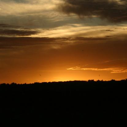 Kenya - Maasai Mara, Terre des Maasai et des Animaux Sauvages…