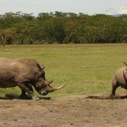 Kenya - La Vallée du Rift, Aux Origines de l’Humanité…