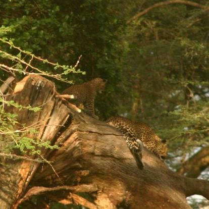 Kenya - La Vallée du Rift, Aux Origines de l’Humanité…