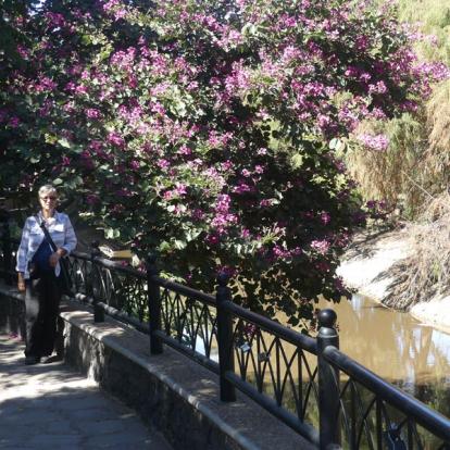 Mexique - Sur la route au centre du Mexique