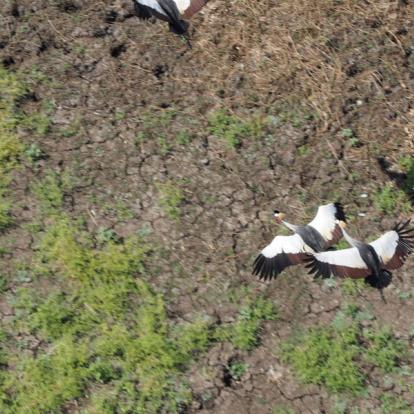 Mozambique - Écotourisme au Parc National de Gorongosa