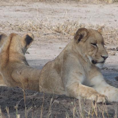 Mozambique - Écotourisme au Parc National de Gorongosa