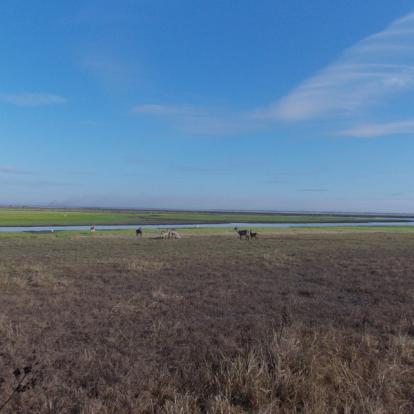 Mozambique - Écotourisme au Parc National de Gorongosa