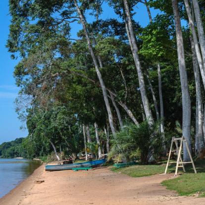 Voyage en Ouganda de Francis et Muriel