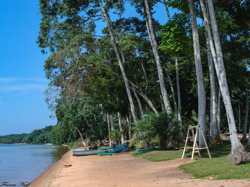 Voyage en Ouganda de Francis et Muriel