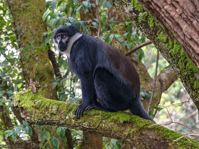 Voyage en Ouganda de Francis et Muriel