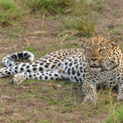 Voyage en Ouganda de Francis et Muriel