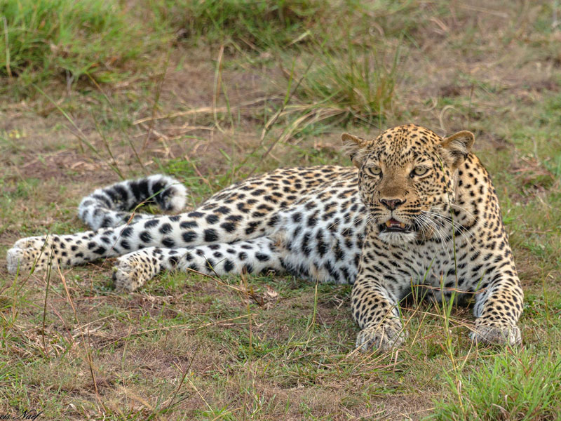 Voyage en Ouganda de Francis et Muriel