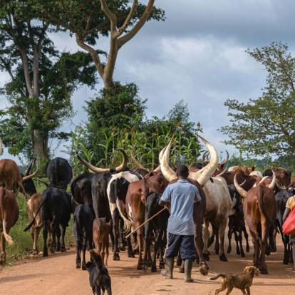 Voyage en Ouganda de Francis et Muriel