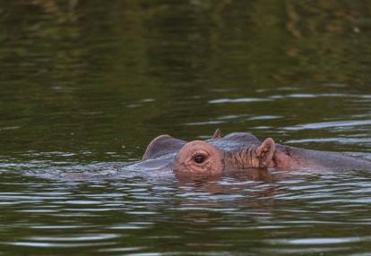 Voyage en Ouganda de Francis et Muriel