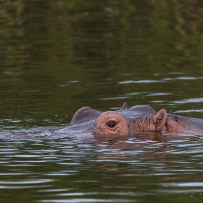 Voyage en Ouganda de Francis et Muriel