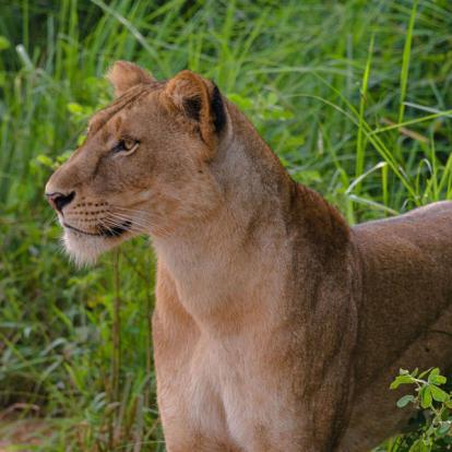 Voyage en Ouganda de Francis et Muriel