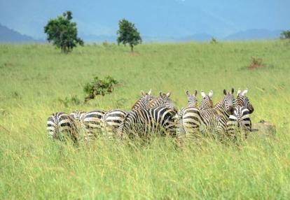 Voyage en Ouganda de Francis et Muriel