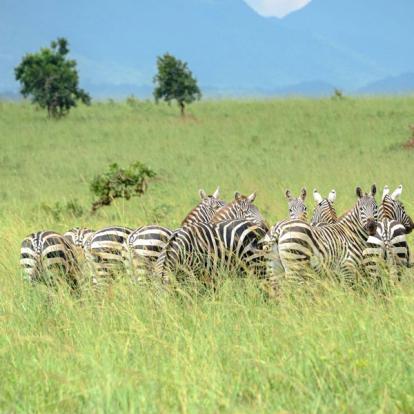 Voyage en Ouganda de Francis et Muriel