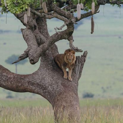Voyage en Ouganda de Francis et Muriel