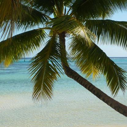 Voyage en Polynésie de Corinne et Jean-Pierre