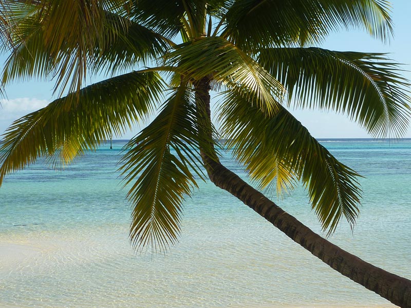 Voyage en Polynésie de Corinne et Jean-Pierre