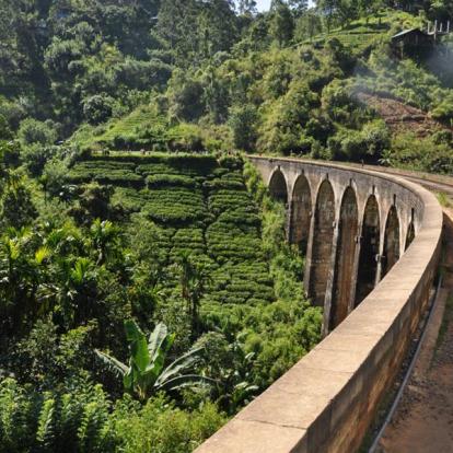 Voyage Au Sri Lanka 2019 Voyage au Sri Lanka de la Famille de Silvia
