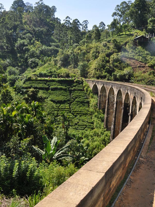 Voyage au Sri Lanka 2019 Voyage au Sri Lanka de la Famille de Silvia