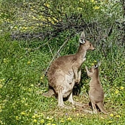 Voyage en Australie de Claude