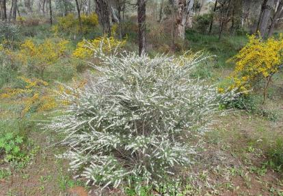 Voyage en Australie de Claude