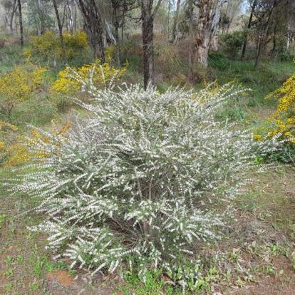 Voyage en Australie de Claude