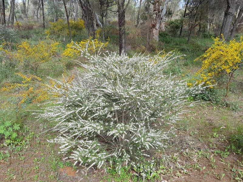 Voyage en Australie de Claude