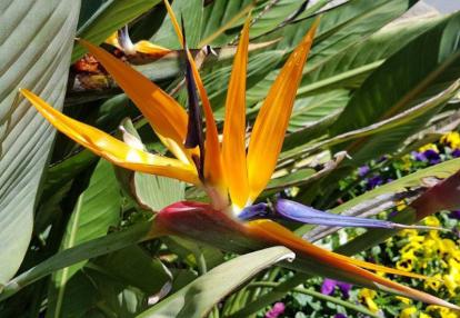 Voyage en Australie de Claude