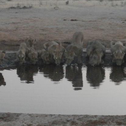 Voyage au Botswana de Michelle