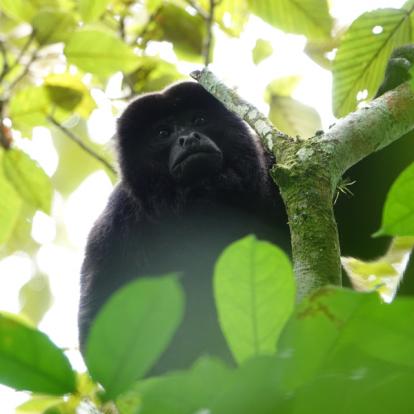 Voyage au Nicaragua  de Laurence, Pascale et Christine