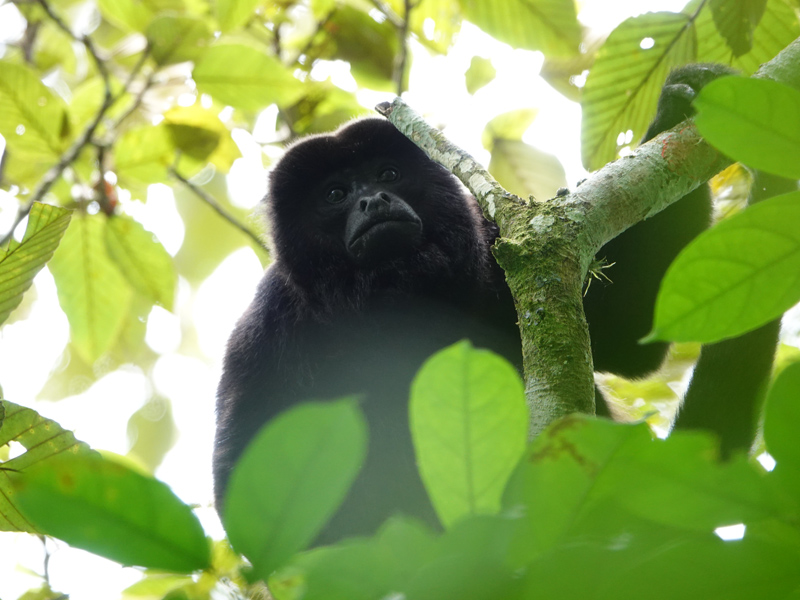 Voyage au Nicaragua  de Laurence, Pascale et Christine