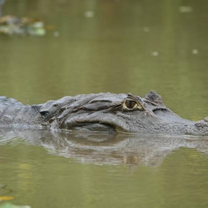 Voyage au Nicaragua de Laurence, Pascale et Christine