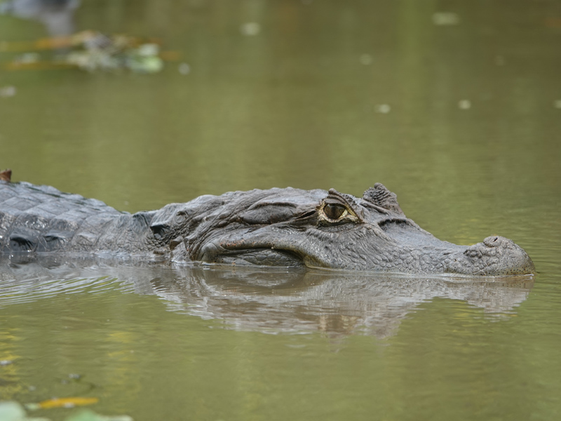 Voyage au Nicaragua de Laurence, Pascale et Christine
