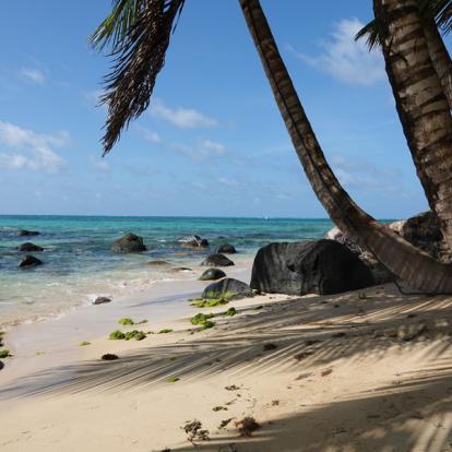 Voyage au Nicaragua de Laurence, Pascale et Christine