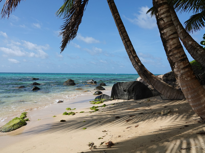 Voyage au Nicaragua de Laurence, Pascale et Christine