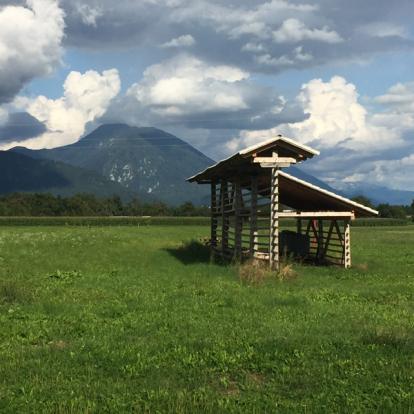 Voyage en Slovénie de la Famille de Valérie