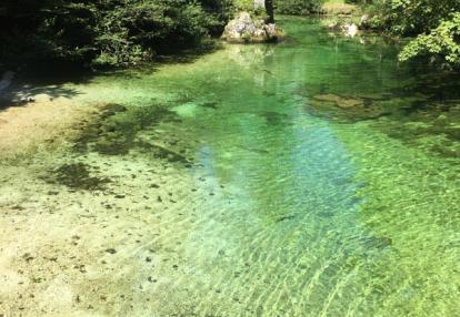 Voyage en Slovénie de la Famille de Valérie