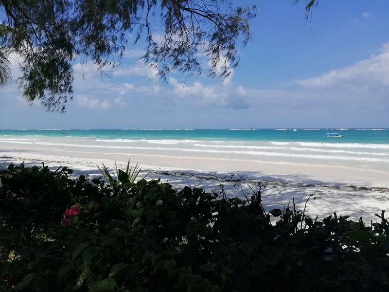 Voyage au Kenya de la Famille de Laurent