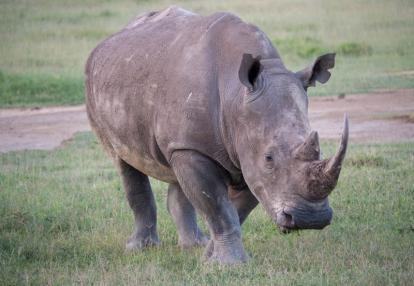 Voyage au Kenya de la Famille de Laurent