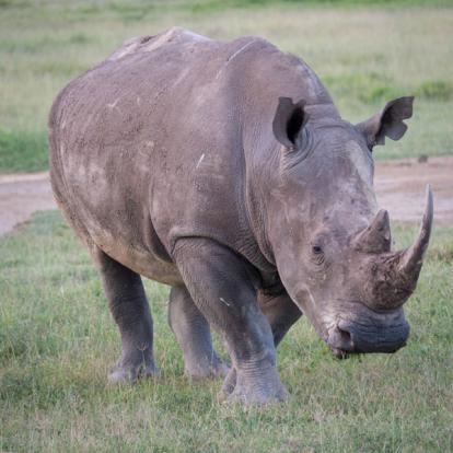 Voyage au Kenya de la Famille de Laurent