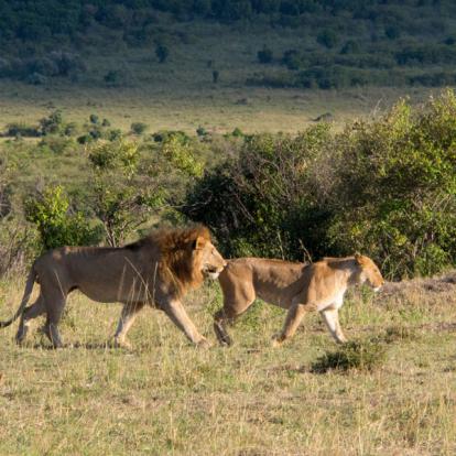Voyage au Kenya de la Famille de Laurent