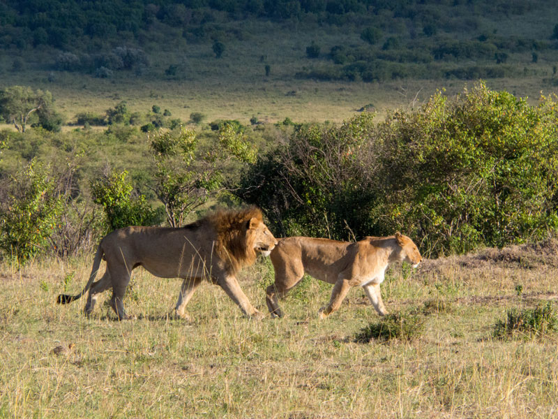 Voyage au Kenya de la Famille de Laurent