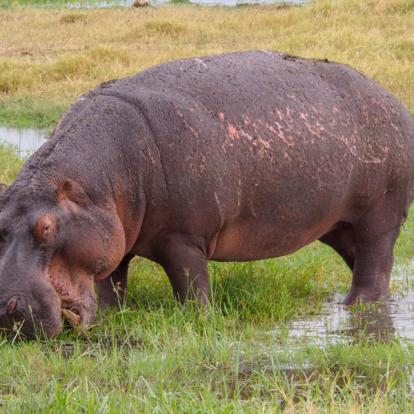 Voyage au Kenya de la Famille de Laurent